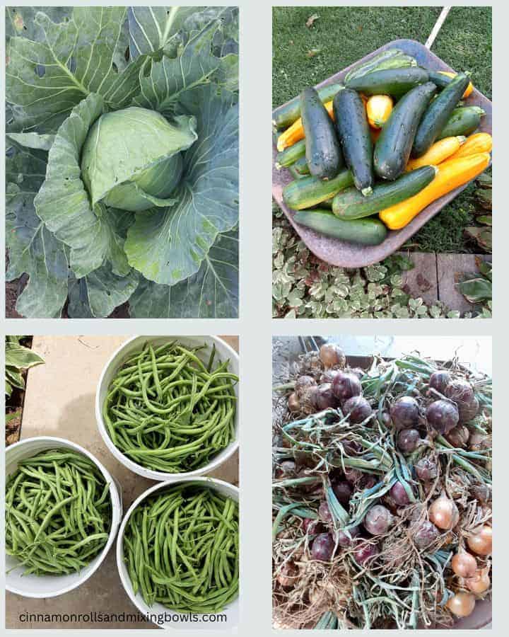  best vegetables for homesteader's to grow vegetable photo collage