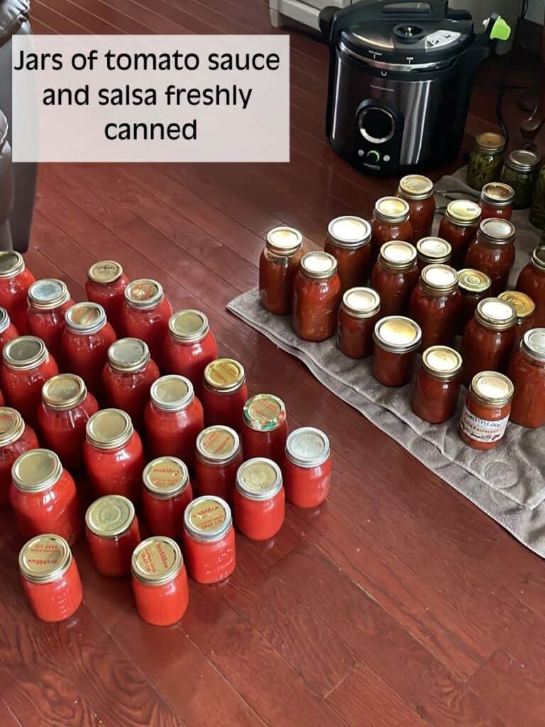 canning jars of tomato products on the floor by electric canner