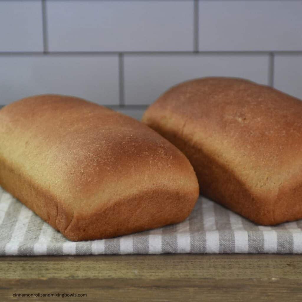 Homemade kamut bread loaves on cooling rack