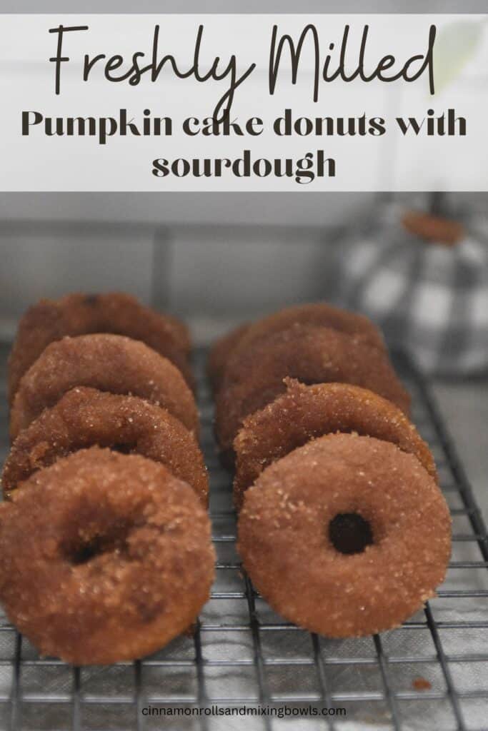 Freshly milled kamut pumpkin cake donuts pin